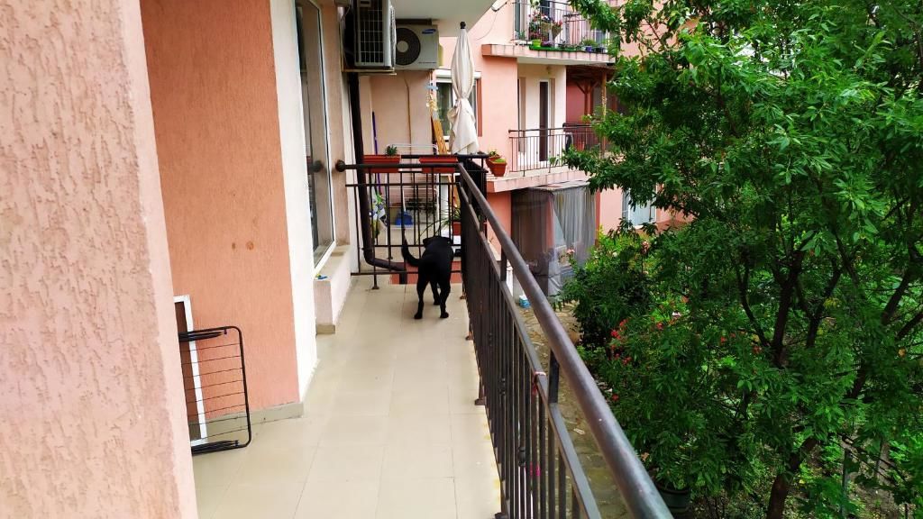 Апарт-отели Apartament nikol Бургас-34